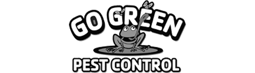 FS-Logo-3